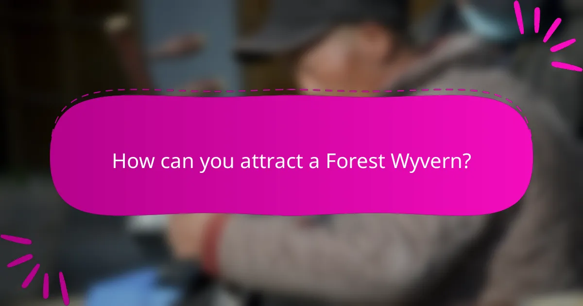 How can you attract a Forest Wyvern?