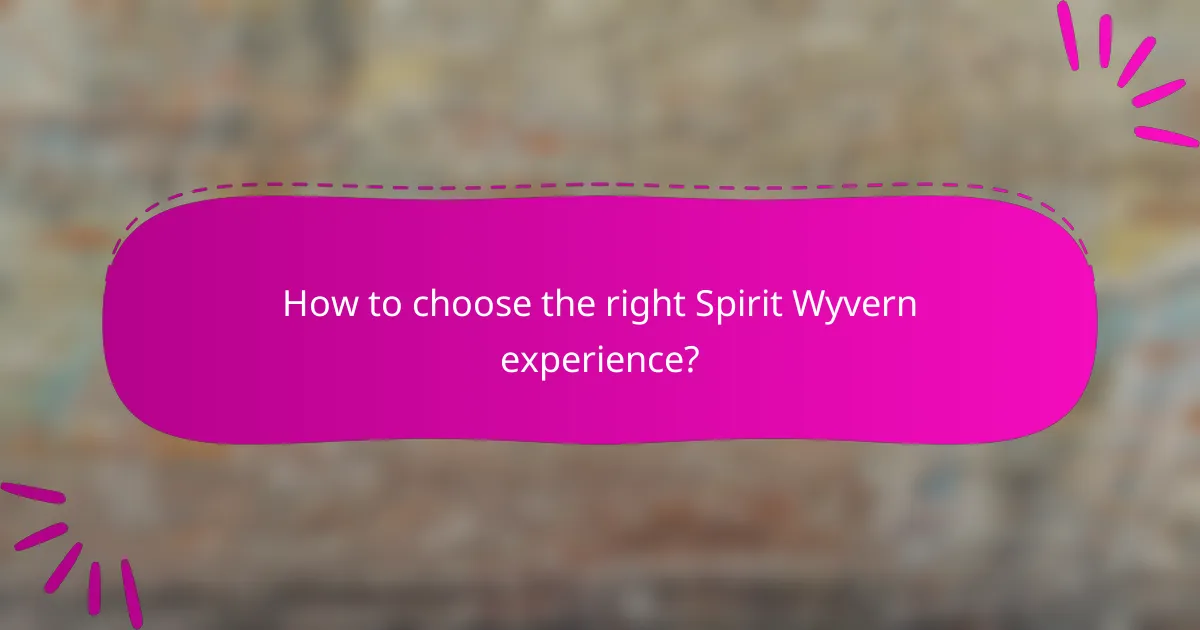How to choose the right Spirit Wyvern experience?