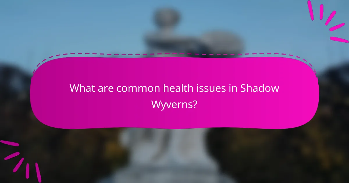 What are common health issues in Shadow Wyverns?