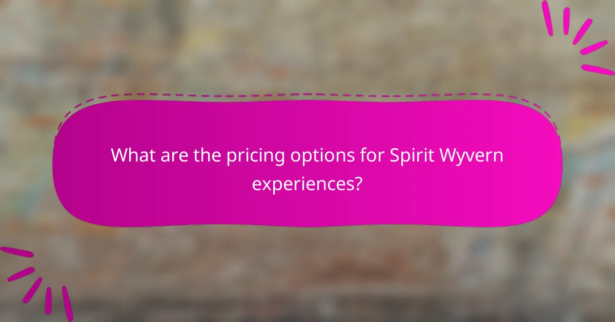 What are the pricing options for Spirit Wyvern experiences?