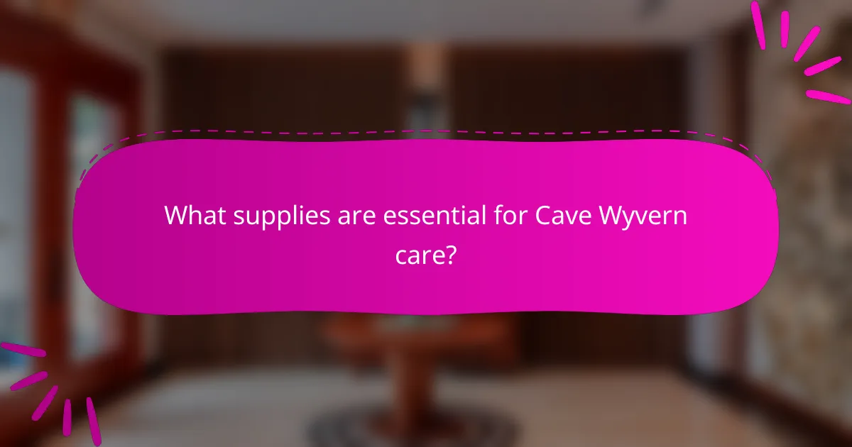 What supplies are essential for Cave Wyvern care?